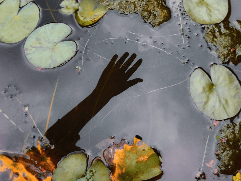 ভুল-ভ্রম