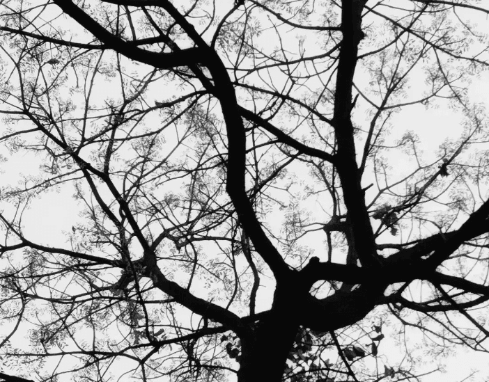 আসমান কিংবা ঘোর